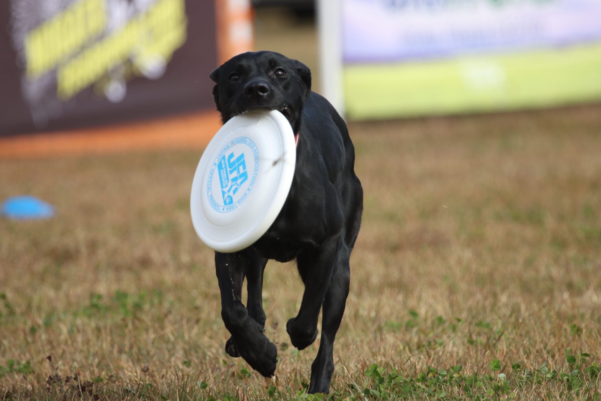 公式選手権 IN 富山氷見